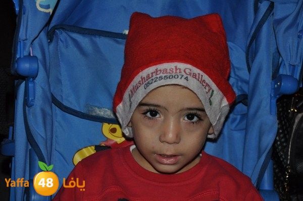 tree light 1208 (72).JPG